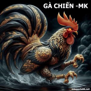 GÀ CHIẾN MK