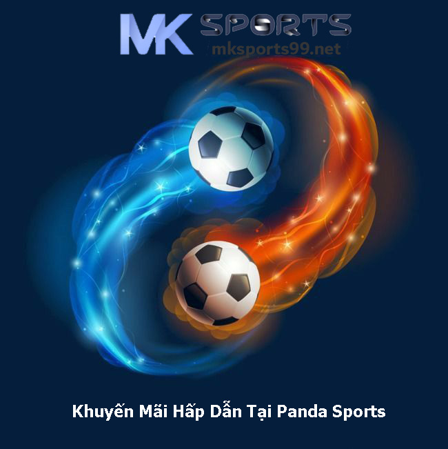 Khuyến Mãi Hấp Dẫn Tại Panda Sports